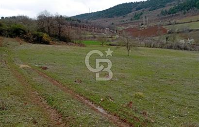 CB BAŞROL'DEN KESTEL NÜSHETİYE SATILIK TARLA