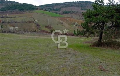  CB BAŞROL'DEN KESTEL NÜSHETİYE SATILIK TARLA