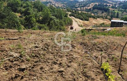  CB BAŞROL'DEN KESTEL NÜSHETİYE SATILIK TARLA