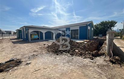 Urla Kuşçular Tek Katlı Havuzlu Geniş Bahçeli Lüks Satılık Villa