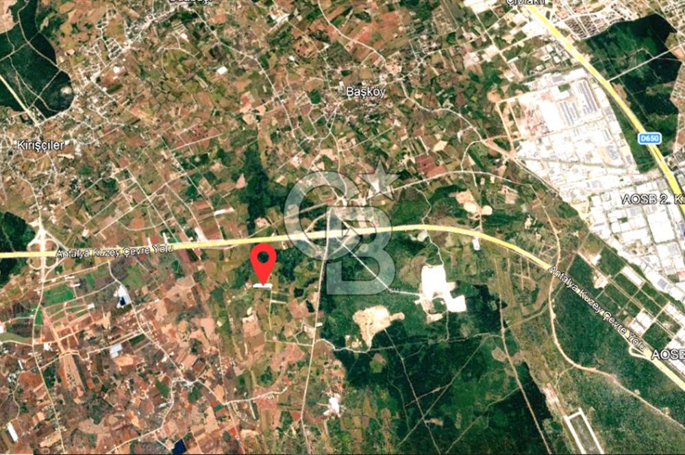 ANTALYA KEPEZ BAŞKÖY'DE 11.156 M2 SATILIK TARLA