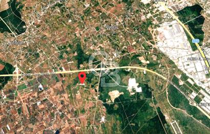 ANTALYA KEPEZ BAŞKÖY'DE 11.156 M2 SATILIK TARLA