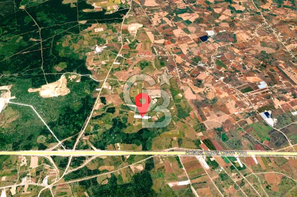 ANTALYA KEPEZ BAŞKÖY'DE 11.156 M2 SATILIK TARLA