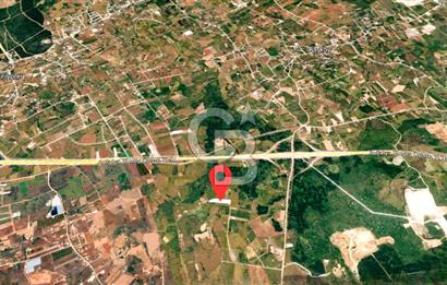 ANTALYA KEPEZ BAŞKÖY'DE 11.156 M2 SATILIK TARLA