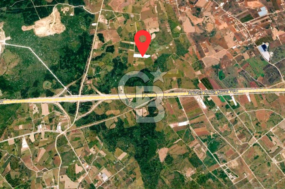 ANTALYA KEPEZ BAŞKÖY'DE 11.156 M2 SATILIK TARLA