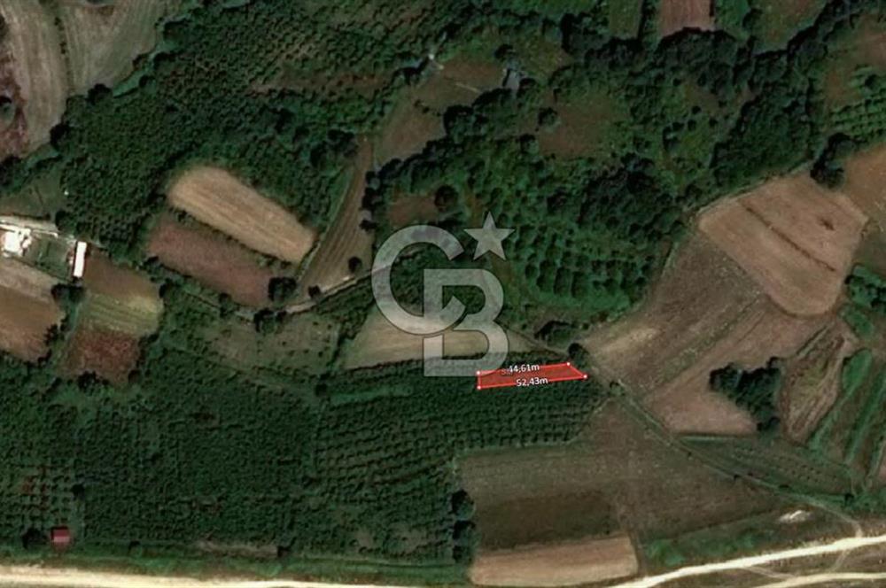KANDIRA ÇALKÖY DENİZE YAKIN KADASTRO YOLLU TARLA