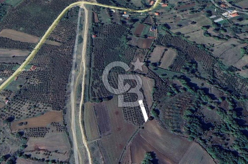KANDIRA ÇALKÖY DENİZE YAKIN KADASTRO YOLLU TARLA