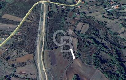 KANDIRA ÇALKÖY DENİZE YAKIN KADASTRO YOLLU TARLA
