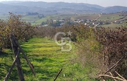 KANDIRA ÇALKÖY DENİZE YAKIN KADASTRO YOLLU TARLA