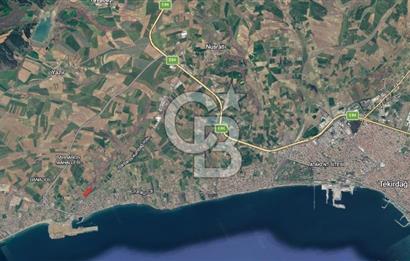 Tekirdağ Süleymanpaşa Barbaros Mah. Satılık 16700 m² Arsa