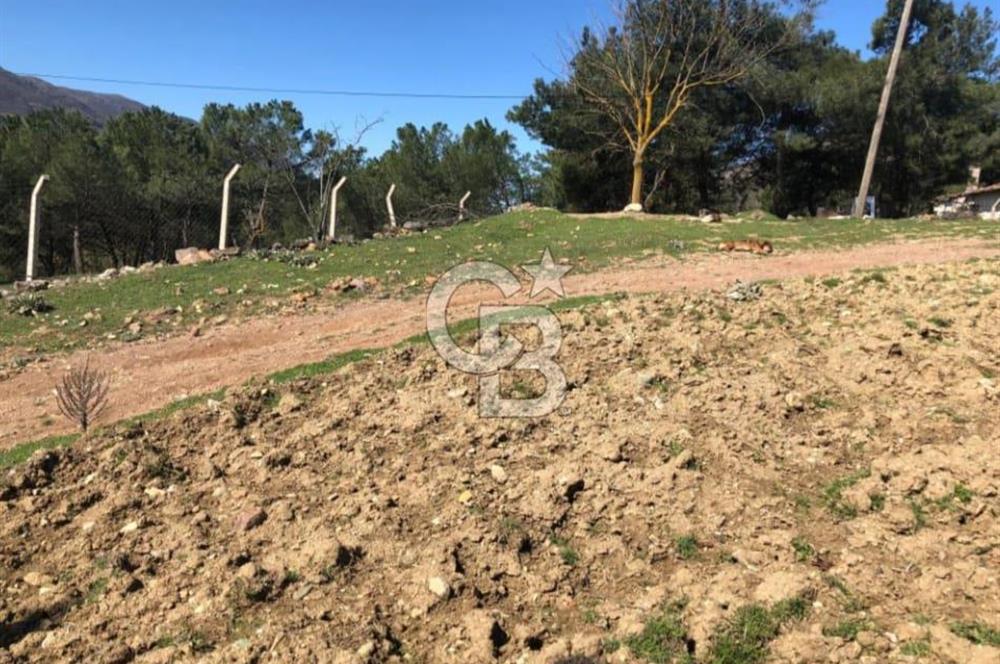 balıkesir de imar lı köy içi