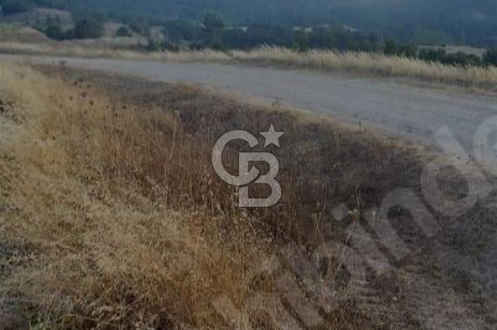 balıkesir Sındırgıda arsa