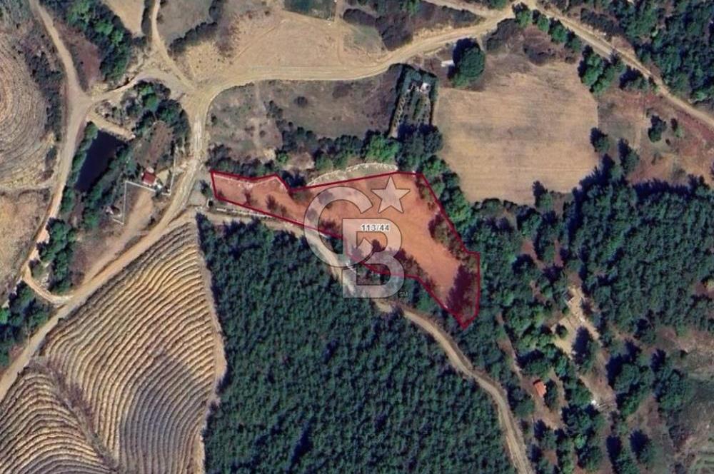 Menderes Karacadağ’da Doğayla İç İçe, Kullanıma Hazır 7.968 m² Arazi