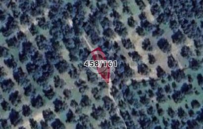 BURHANİYE`DE ŞARKÖY OSB`YE 185 METRE MESAFEDE ZEYTİNLİK