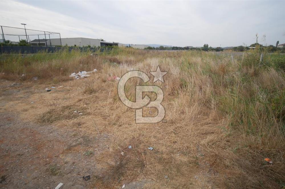 URLA İSKELE BÖLGESİNE ÇOK YAKIN DENİZE 600 METRE SATILIK TARLA