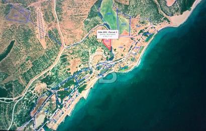 TEKİRDAĞ ŞARKÖY KIZILCATERZİ KARAKAVAK MEVKİİ SATILIK ARSA
