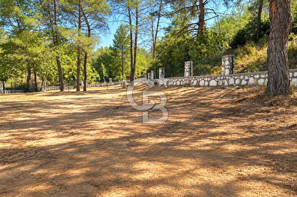 Menderes Karacadağ’da Doğayla İç İçe, Kullanıma Hazır 7.968 m² Arazi