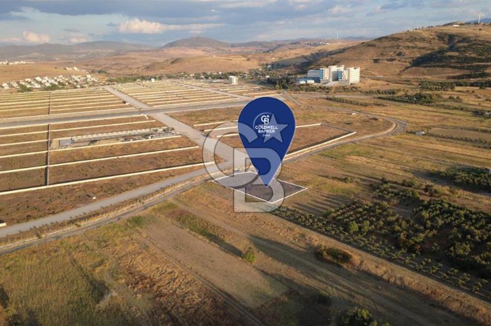 ÇALTILIDERE YATEKE SIFIR 2800m2 TEK TAPU SATILIK TARLA