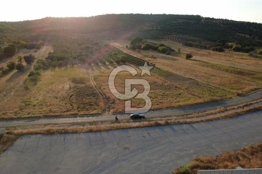 ÇALTILIDERE YATEKE SIFIR 2800m2 TEK TAPU SATILIK TARLA