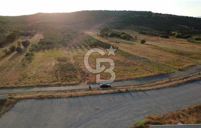 ÇALTILIDERE YATEKE SIFIR 2800m2 TEK TAPU SATILIK TARLA