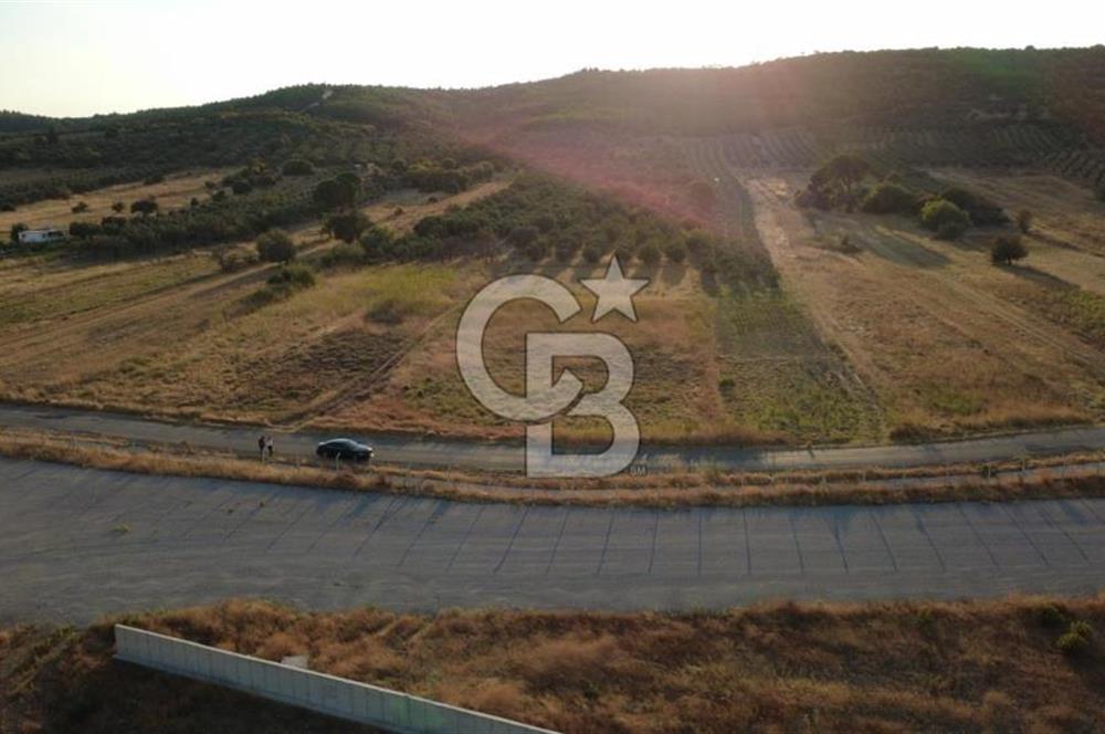 ÇALTILIDERE YATEKE SIFIR 2800m2 TEK TAPU SATILIK TARLA