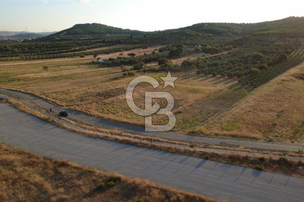 ÇALTILIDERE YATEKE SIFIR 2800m2 TEK TAPU SATILIK TARLA