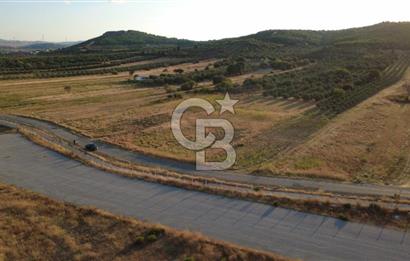 ÇALTILIDERE YATEKE SIFIR 2800m2 TEK TAPU SATILIK TARLA