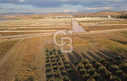ÇALTILIDERE YATEKE SIFIR 2800m2 TEK TAPU SATILIK TARLA