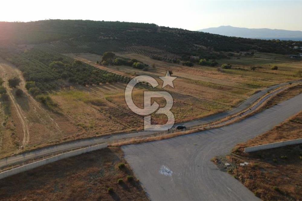 ÇALTILIDERE YATEKE SIFIR 2800m2 TEK TAPU SATILIK TARLA