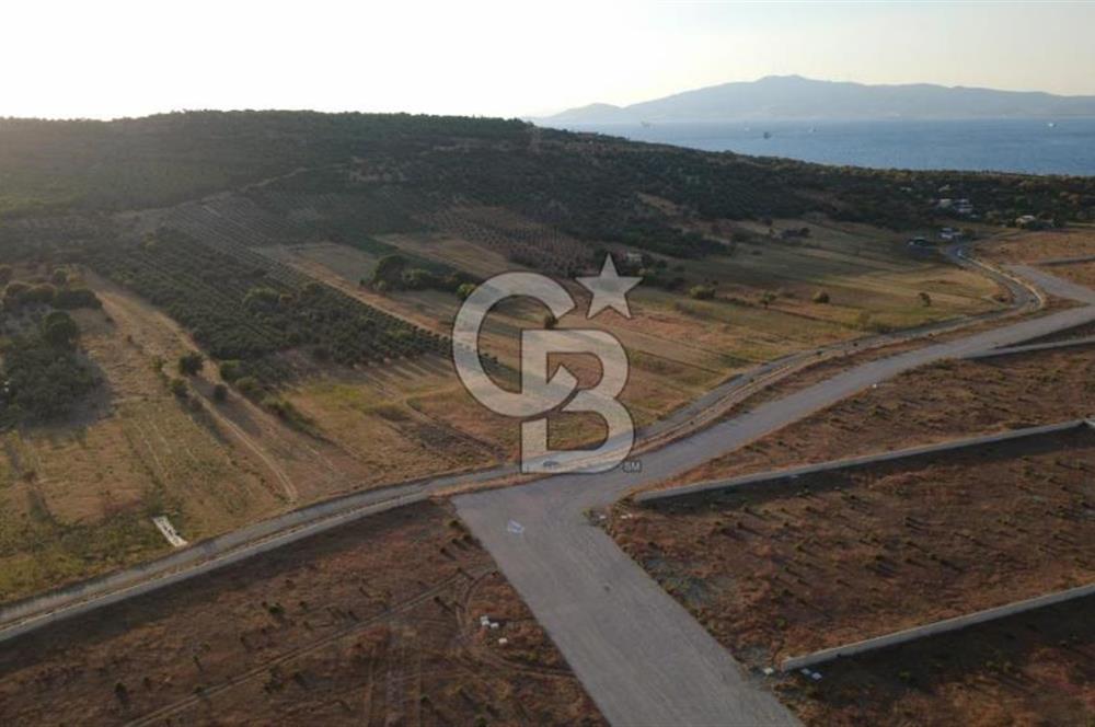 ÇALTILIDERE YATEKE SIFIR 2800m2 TEK TAPU SATILIK TARLA