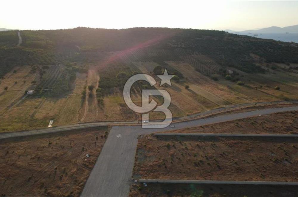 ÇALTILIDERE YATEKE SIFIR 2800m2 TEK TAPU SATILIK TARLA