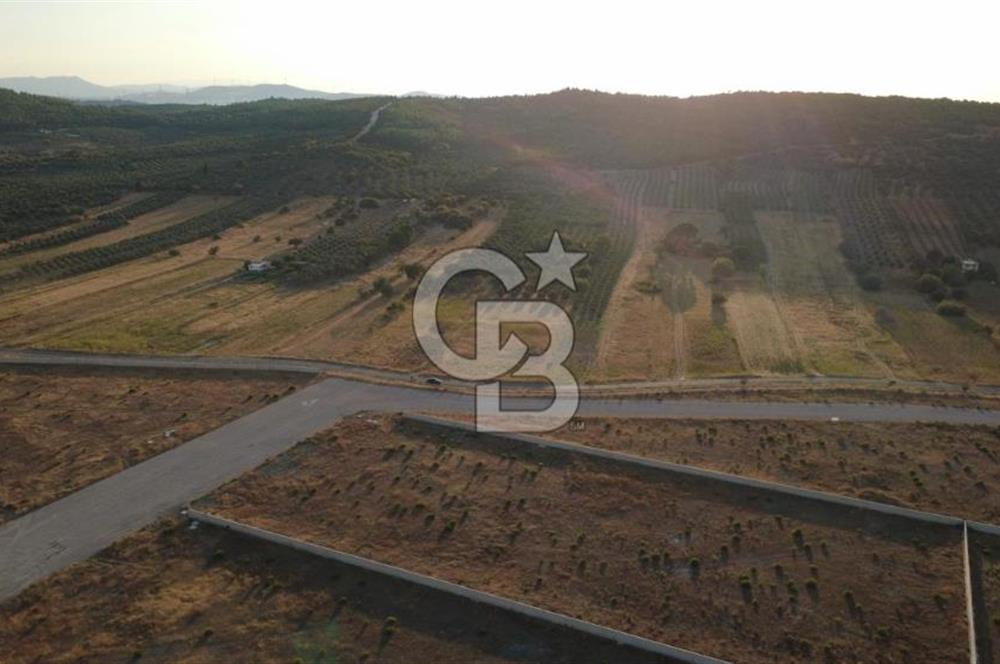 ÇALTILIDERE YATEKE SIFIR 2800m2 TEK TAPU SATILIK TARLA
