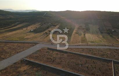 ÇALTILIDERE YATEKE SIFIR 2800m2 TEK TAPU SATILIK TARLA
