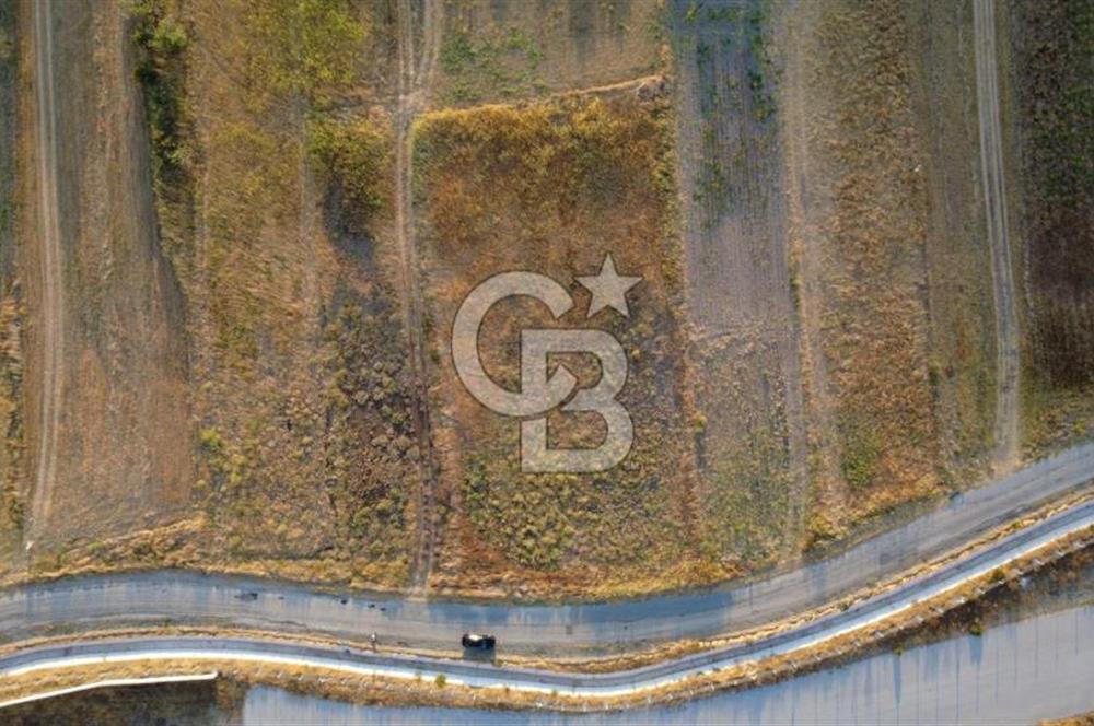 ÇALTILIDERE YATEKE SIFIR 2800m2 TEK TAPU SATILIK TARLA