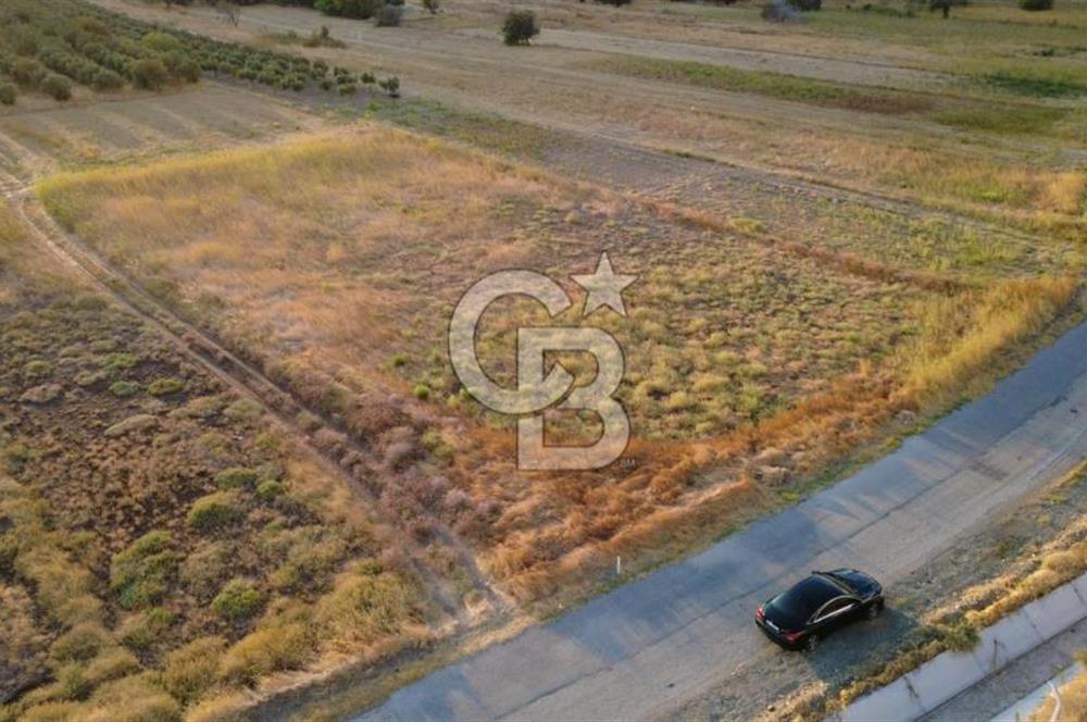 ÇALTILIDERE YATEKE SIFIR 2800m2 TEK TAPU SATILIK TARLA