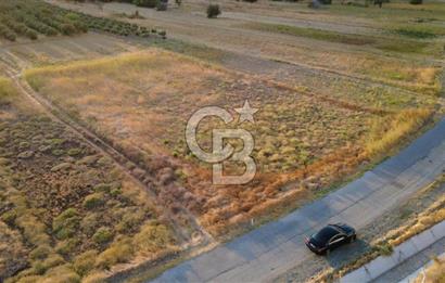 ÇALTILIDERE YATEKE SIFIR 2800m2 TEK TAPU SATILIK TARLA