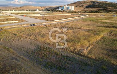 ÇALTILIDERE YATEKE SIFIR 2800m2 TEK TAPU SATILIK TARLA