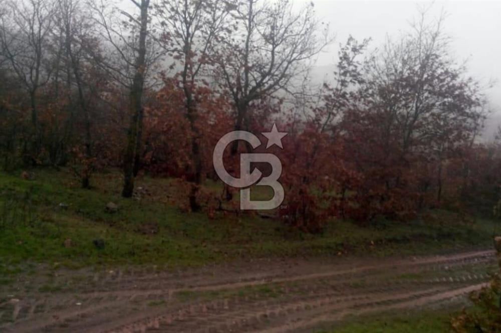 balıkesir Sındırgıda arsa