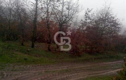balıkesir Sındırgıda arsa
