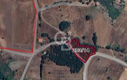 balıkesir Sındırgıda arsa