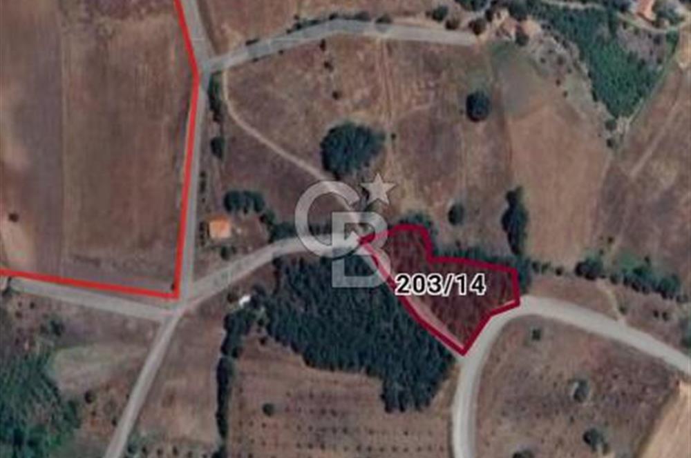 balıkesir Sındırgıda arsa