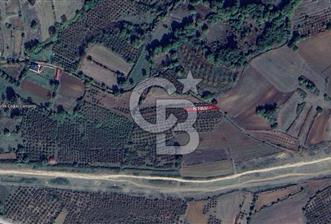KANDIRA ÇALKÖY DENİZE YAKIN KADASTRO YOLLU TARLA - 1 - 375219