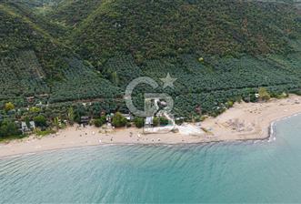 CB BAŞROL İZNİK GÖL KIYISINDA DEVREN KONAKLAMA & RESTORAN - 1 - 375269