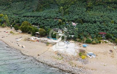 CB BAŞROL İZNİK GÖL KIYISINDA DEVREN KONAKLAMA & RESTORAN