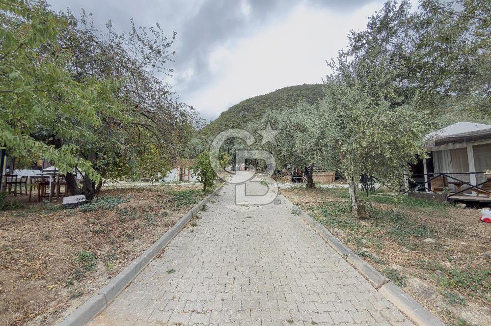 CB BAŞROL İZNİK GÖL KIYISINDA DEVREN KONAKLAMA & RESTORAN