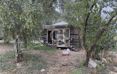 CB BAŞROL İZNİK GÖL KIYISINDA DEVREN KONAKLAMA & RESTORAN