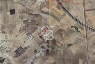 ANKARA TEPEYURTTA 39.255 M² |BÜYÜK METRAJLI SATILIK TARLA - 1 - 375230