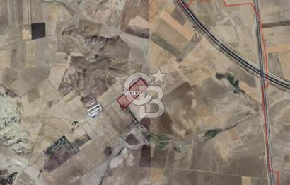 ANKARA TEPEYURTTA 39.255 M² |BÜYÜK METRAJLI SATILIK TARLA