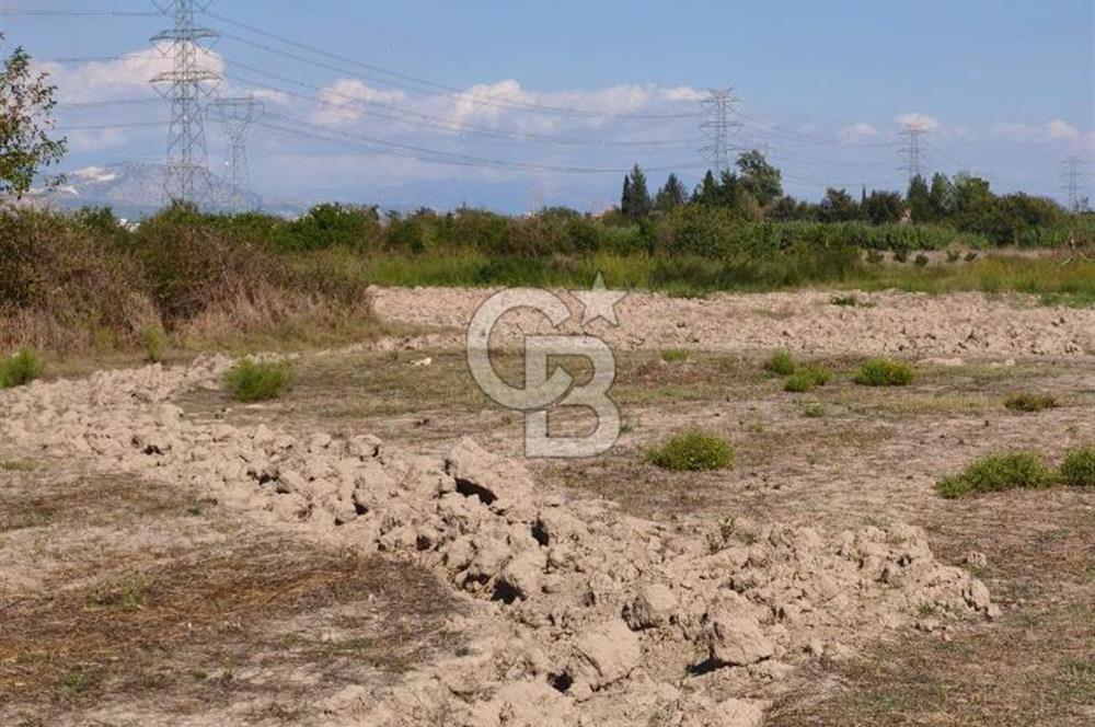 AKSU SOLAK'DA TARIMA VE YATIRIMA UYGUN 12.380 m2 TARLA