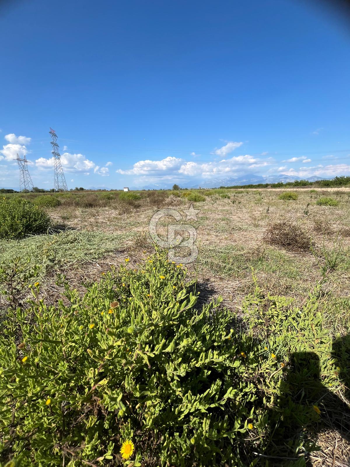 AKSU 'DA TARIMA VE YATIRIMA UYGUN 12.380 m2 TARLA